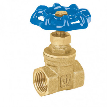 2" thorough brass gate valve