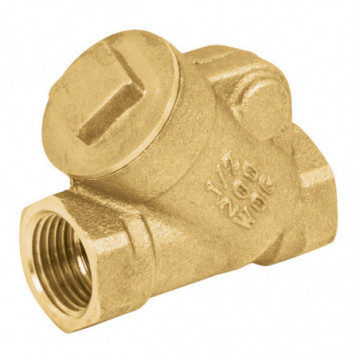 3/4" brass check valve