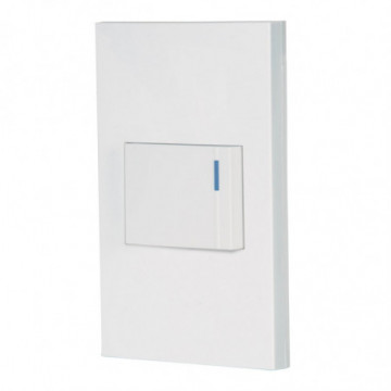 Armed plate 1 3V store switch