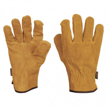 Carnass gloves