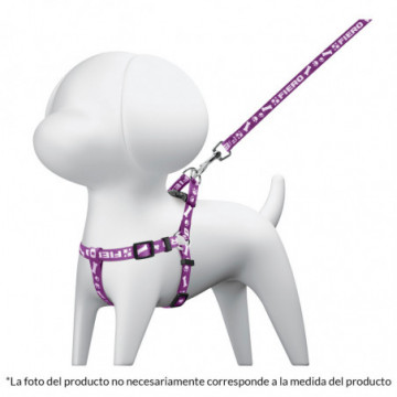 Dog harness with leash