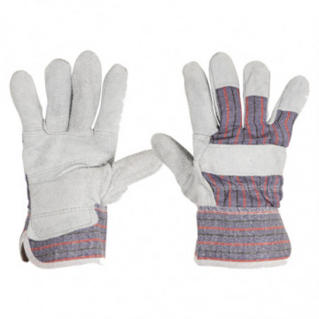 Gloves of Carnation and Lonet