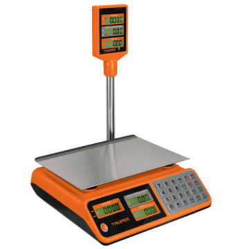 Pole type electronic scale