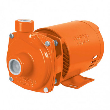 Truper Expert Centrifugal water pump 1/2HP