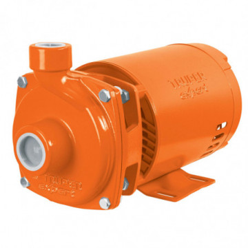 Truper Expert Centrifugal water pump 3/4HP