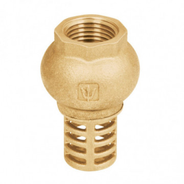 Valve standing with brass grid 1"