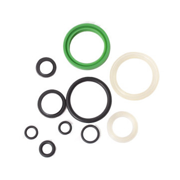 RI1080 Gaskets kit for...