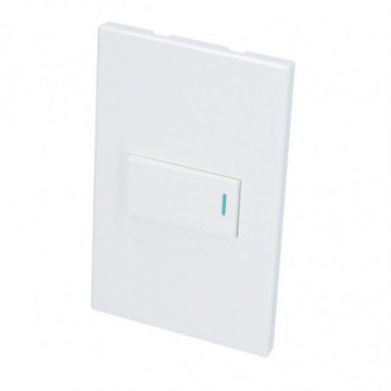 Plate with 1 Switch 1/3 white color