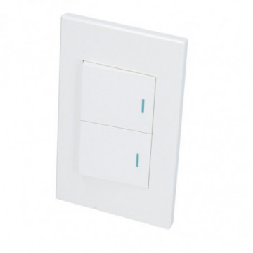 Plate with 2 Switch 1/2 white color