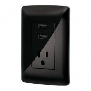 1-outlet 2-udb port with wallplate