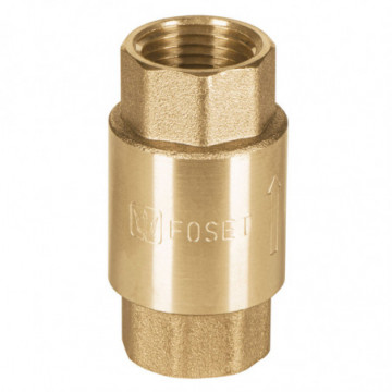 1/2" brass check valve
